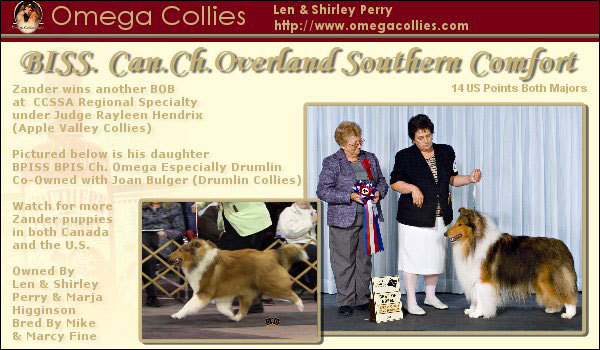 Omega -- CAN CH Overland Southern Comfort