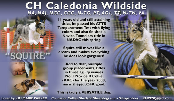 CH Caledonia Wildside, NA, NAJ, NGC, CGC, N-TG, PT, AG1, TT, N-TN, VA