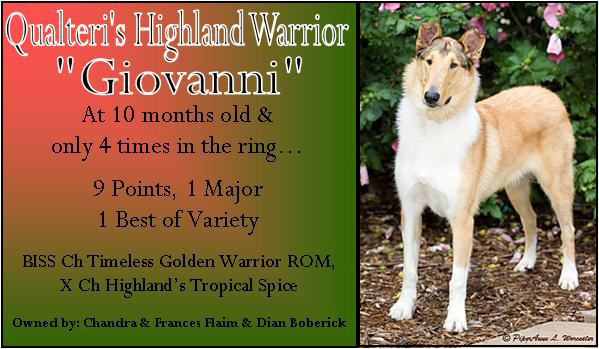 Qualteri -- Qualteri's Highland Warrior