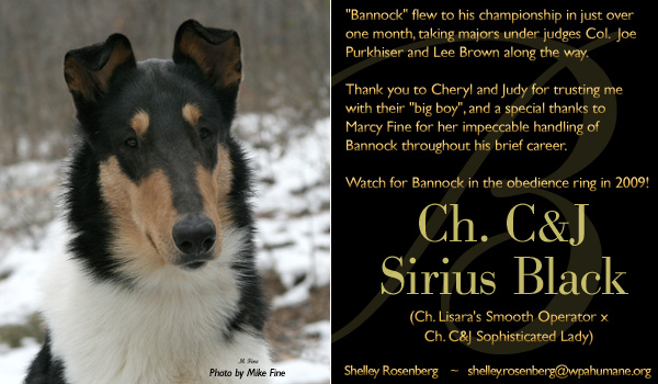 Shelley Rosenberg -- CH C&J Sirius Black