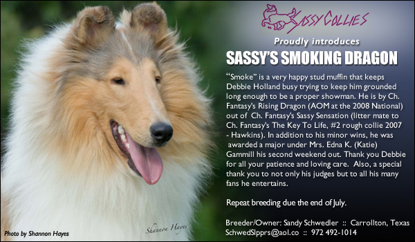 Sassy -- Sassy's Smoking Dragon