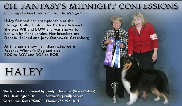 Sassy -- CH Fantasy's Midnight Confessions