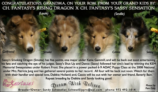 Fantasy/Sassy -- CH Fantasy's Midnight Confessions