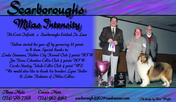 Scarborough -- Scarboroughs Milas Intensity