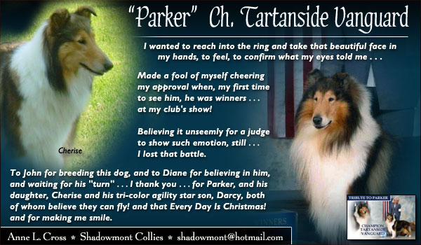 Shadowmont -- Tribute to CH Tartanside Vanguard