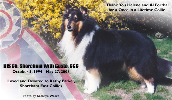 Shoreham East -- CH Shoreham With Gusto, CGC