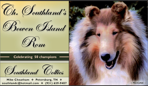 Southland -- CH Southland's Bowen Island ROM