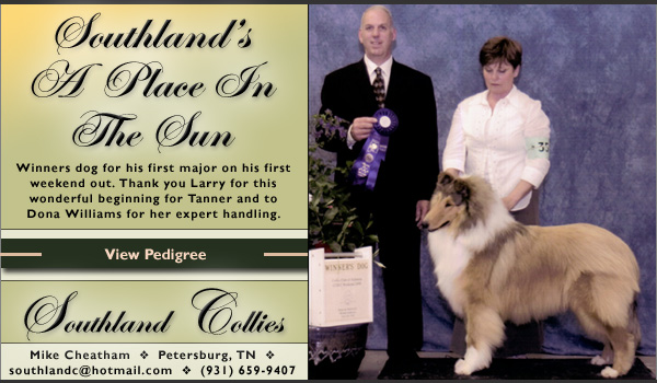 Southland --  Southland's A Place In The Sun