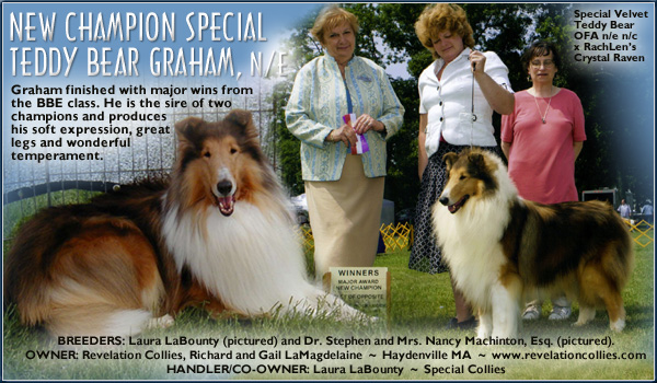 Special / Revelation -- CH Special Teddy Bear Graham, NE