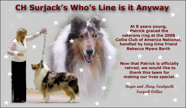 Surjack -- CH Surjack's Who's Line Is It Anyway