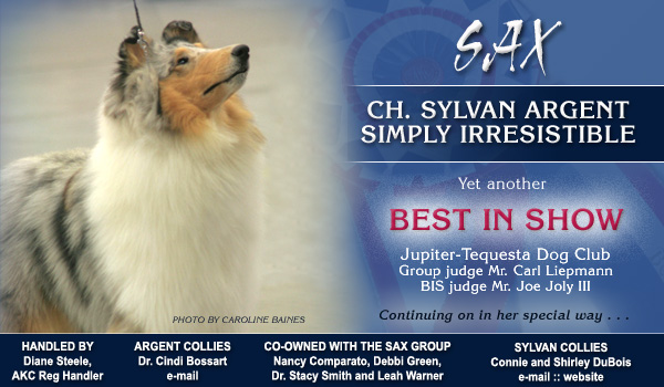 Argent Collies and Sylvan Collies -- CH Sylvan Argent Simply Irresistible
