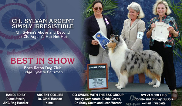 Argent Collies and Sylvan Collies -- CH Sylvan Argent Simply Irresistible