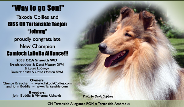 Takoda / Tartanside -- CH. Tartanside Taejon