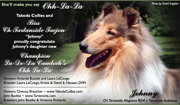 Takoda /Tartanside -- CH. Tartanside Taejon