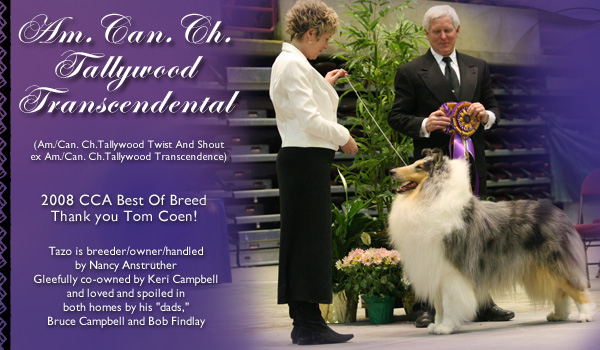 Tallywood -- CH Tallywood Transcendental