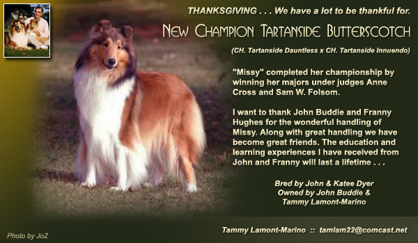 Tammy Lamont-Marino -- CH Tartanside Butterscotch