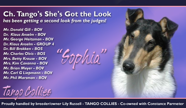 Tango -- CH Tango's She's Got the Look