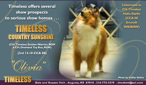 Timeless -- Timeless Country Sunshine