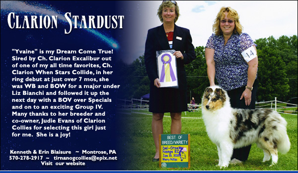 Tir Na N' Og -- Clarion Stardust