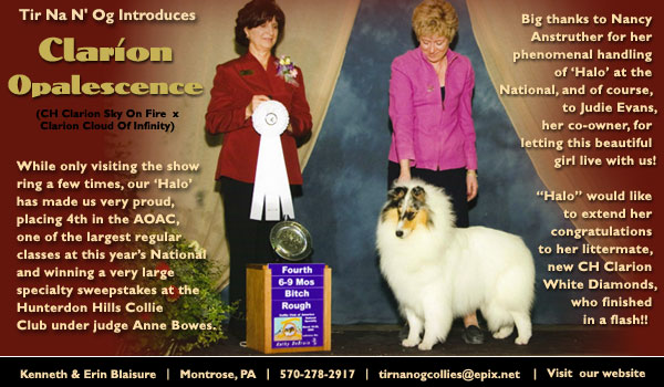 Tir Na N' Og -- Clarion Opalescence