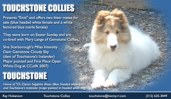 Touchstone  Collies