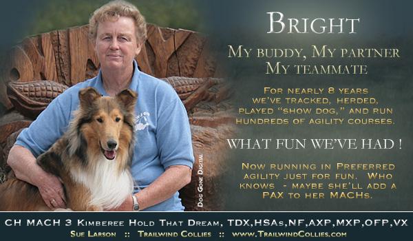 Trailwind -- CH MACH 3 Kimberee Hold That Dream, 