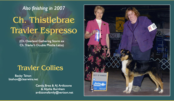 Travler -- CH Thistlebrae Travler Espresso