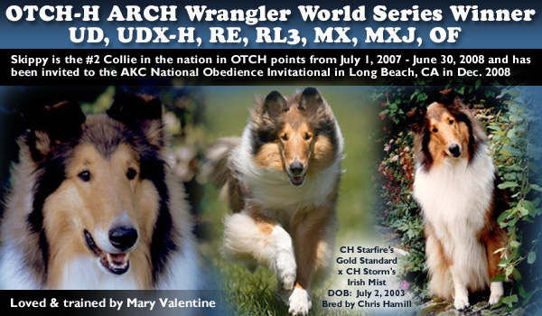 Mary Valentine -- OTCH-H  ARCH  Wrangler World Series Winner  UD, UDX-H, RE, RL3, MX, MXJ, OF