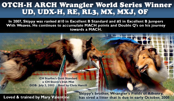  OTCH-H  ARCH  Wrangler World Series Winner  UD, UDX-H, RE, RL3, MX, MXJ, OF