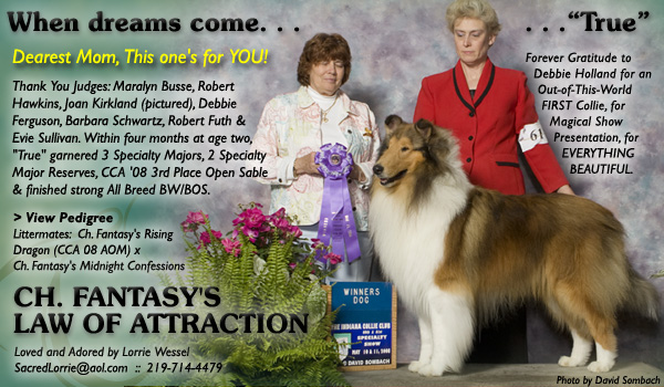 Lorrie Wessel -- CH Fantasy's Law Of Attraction