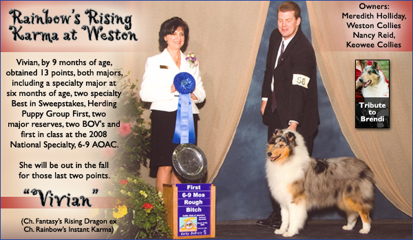 Weston -- Rainbow's Rising Karma At Weston