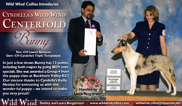 Wild Wind -- Cyndella's Wild Wind Centerfold