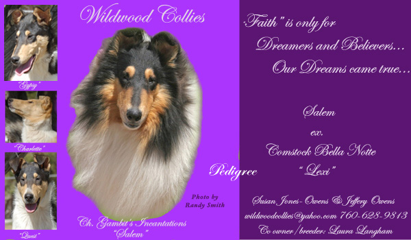 Wildwood -- CH Gambits Incantations