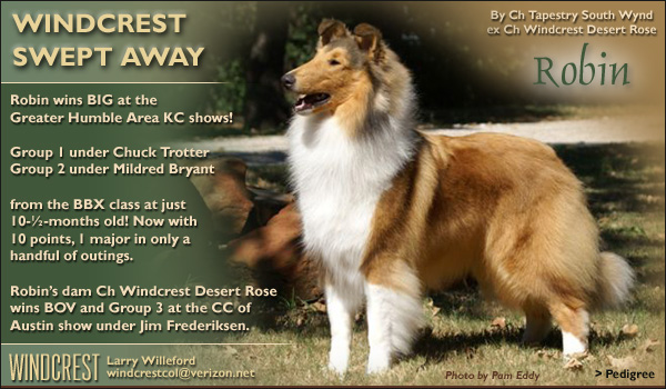 Windcrest -- Windcrest Swept Away