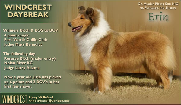 Windcrest -- Windcrest Daybreak