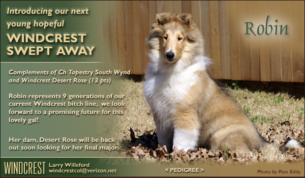 Windcrest -- Windcrest Swept Away