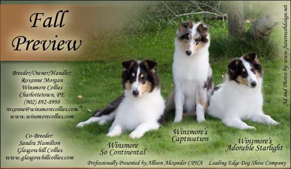 Winsmore -- Glasgowhill's Winsmore Vocalist and Glasgowhill's Winsmore Egotistic