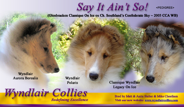 Wyndlair -- Wyndlair Aurora Borealis, Wyndlair Polaris and Classique Wyndlair Legacy On Ice