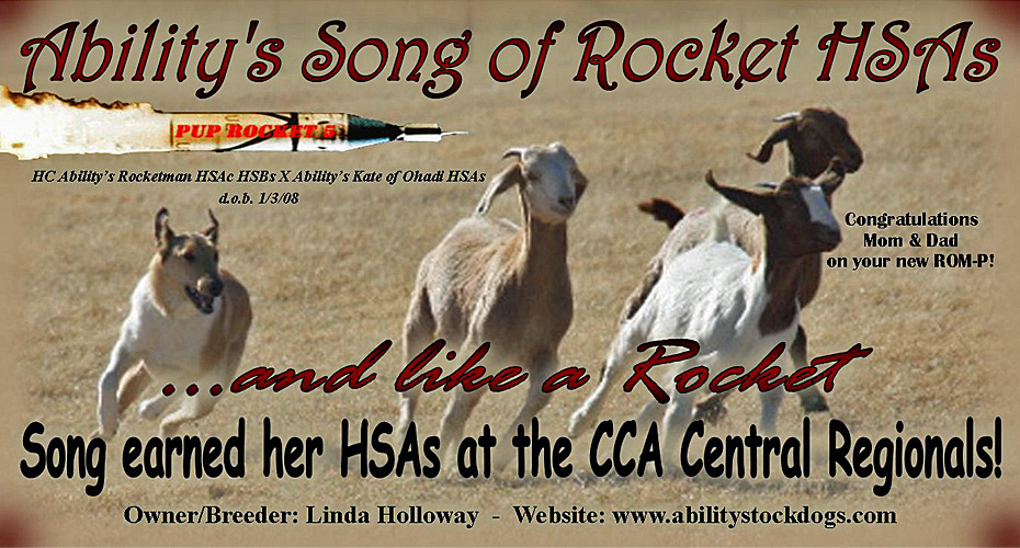 Ability Stockdogs -- Ability's Song Of Rocket HSAs