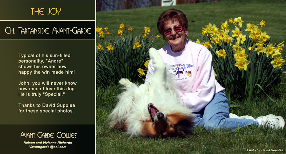 Avant-Garde Collies -- CH Tartanside Avant-Garde