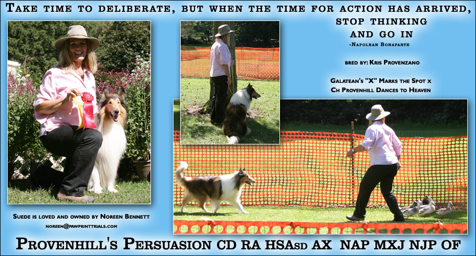 Noreen Bennett -- Provenhill's Persuasion CD RA HSAsd AX  NAP MXJ NJP OF