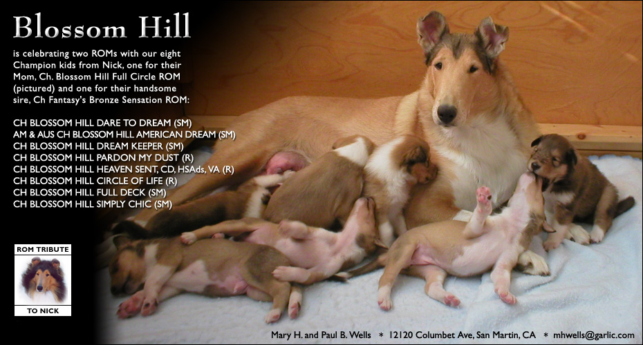 Blossom Hill -- CH Blossom Hill Full Circle, ROM