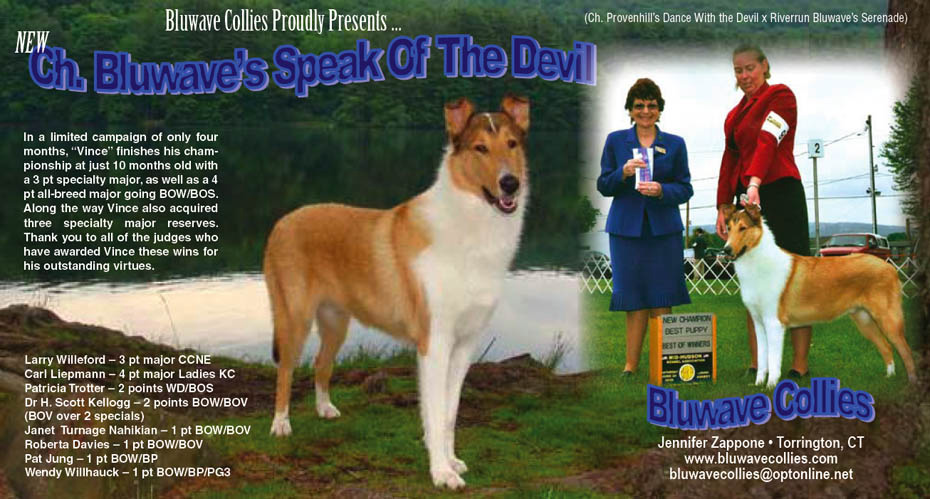 Bluwave Collies -- CH Bluwave's Speak Of The Devil