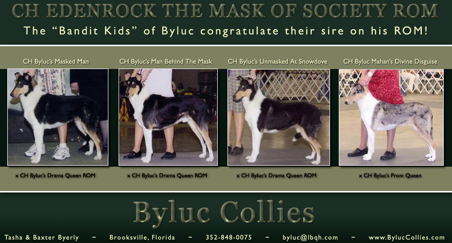 Byluc Collies  -- Tribute to CH Edenrock The Mask Of Society, ROM -- CH Byluc's Masked Man, CH Byluc's Man Behind The Mask, CH Byluc's Unmasked At Snowdove, CH Byluc's Mahan's Divine Disquise