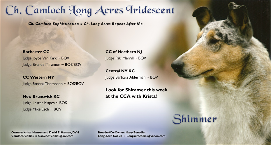 Camloch / Long Acre -- Ch. Camloch Long Acres Iridescent