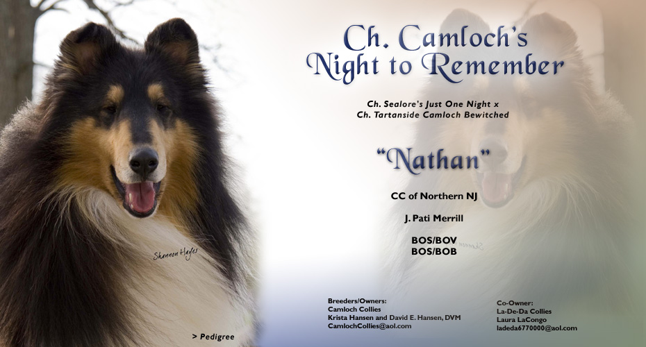 Camloch -- CH Camloch's Night To Remember