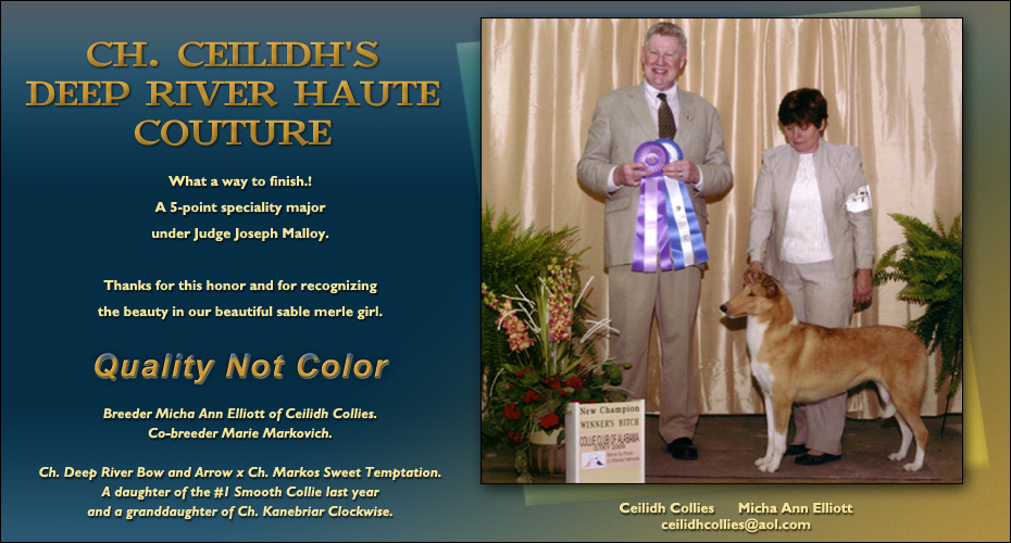 Ceilidh Collies -- Ceilidh's Deep River Haute Couture