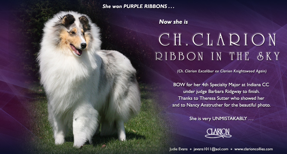 Clarion Collies -- CH Clarion Ribbon In The Sky