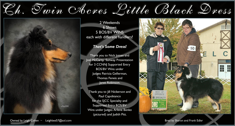 Jag-View Collies -- Jag-View Revelation