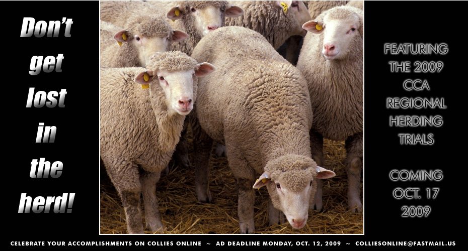Collies Online - A Special week of advertising featuring the 2009 CCA Regional Herding Trials